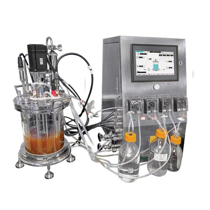 Laboratory Fermenter