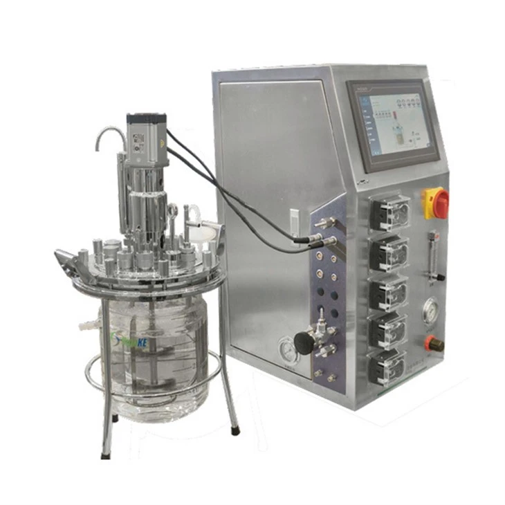 Mechanically Stirred Fermenter
