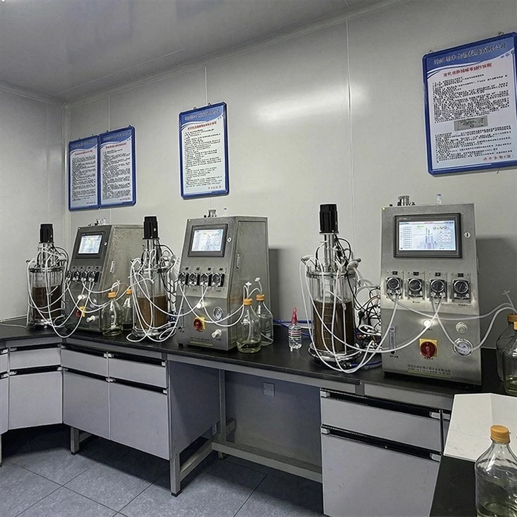 Ex-situ Sterilization Fermenter
